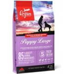 ORIJEN Large Puppy супер храна за кученца от големи породи - 11.4кг