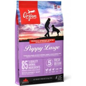 ORIJEN Large Puppy супер храна за кученца от големи породи - 11.4кг