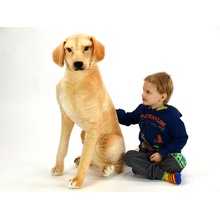 Pes labrador výška 83 cm