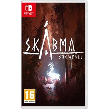 Skábma Snowfall