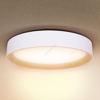 Brilagi -LED Димируема лампа LARIOS LED/48W/230V 3000-6500K ø 39 см бял + д. у (BG1340)