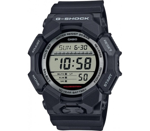 Casio GD-010-1