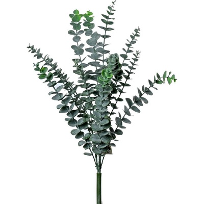 ZÁPICH EUCALYPTUS 57CM