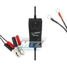 Dynavolt B-PCACCUB03 12V 2A