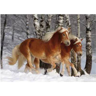 D-Toys - Puzzle Horses Magic : Halflinger III Difficult - 240 piese