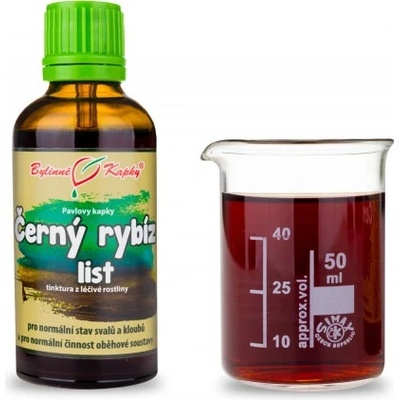 Bylinné kapky tinktura Černý rybíz list 50 ml