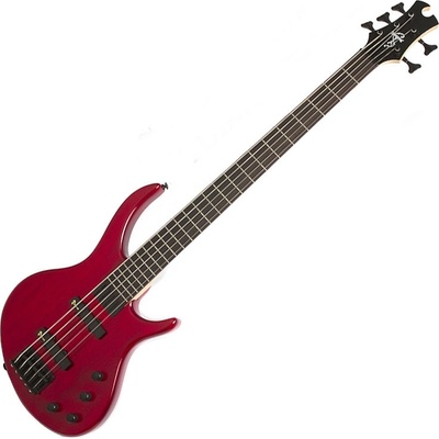 Epiphone Toby Deluxe-V Bass