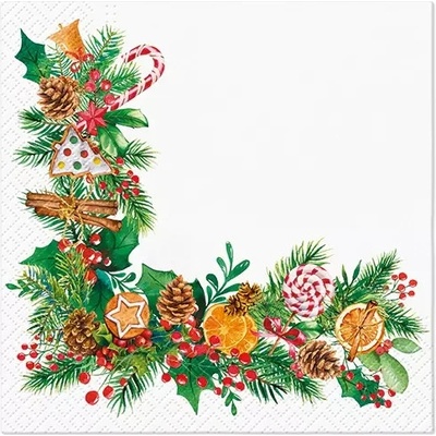 PAW Obrúsky L 33x33cm Orange-Scented Frame