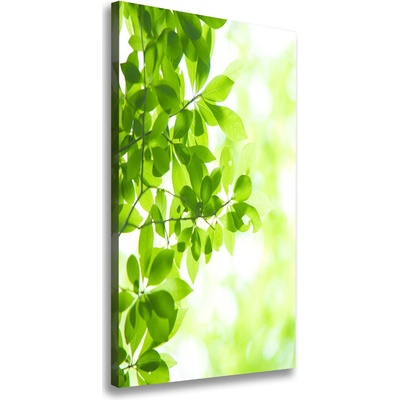 Vertikálny foto obraz na plátne Zelené lístie 50x100 cm
