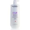 Goldwell Dualsenses Color Brilliance Fade Stop Shampoo 1000 ml