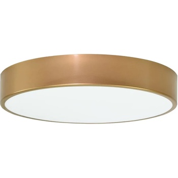 Image 1 of Temar CLEO TM0015