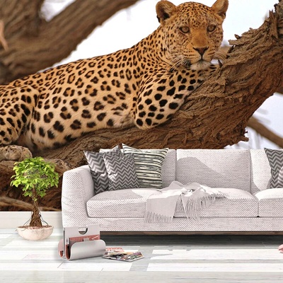 Sablio Tapeta Leopard 2, rozmery 336x220 cm