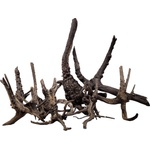 WIO Black Tree Trunk Wood - дърво за аквариум M