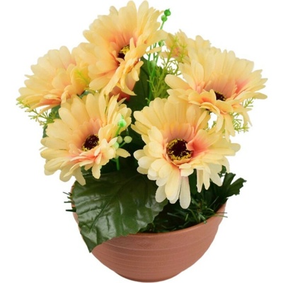 Gerbery světle oranžové 7 květů v terakotové misce Ø22/ 24 cm
