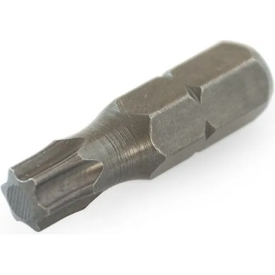GROSS БИТ torx 40 torsion 25мм (12399)