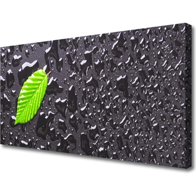 Obraz na plátně List Kapky Umění 100x50 cm