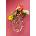 Seletti Декоративна ваза Seletti Love in Bloom (09922)