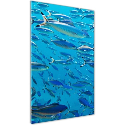 Vertikálny foto obraz sklo tvrdené Koralové ryby 50x100 cm