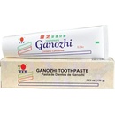 DXN Ganozhi zubná pasta 150 g