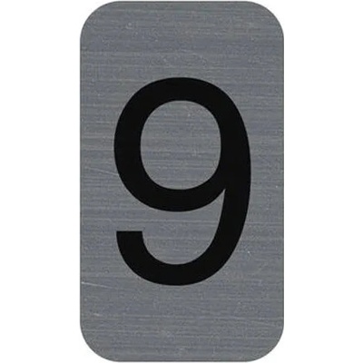 EXACOMPTA Informačná tabuľka, samolepiaca, 2,5x4,4 cm, hliníkový vzhľad, EXACOMPTA, č. 9
