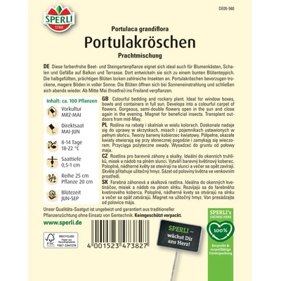 Šrucha velkokvětá Potulaca grandiflora