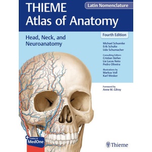 Head, Neck, and Neuroanatomy (THIEME Atlas of Anatomy), Latin Nomenclature | Erik Schulte, Udo Schumacher, Cristian Stefan, Karl H. Wesker, Markus Voll (ISBN: 9781684206971)