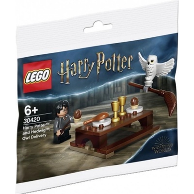LEGO® Harry Potter™ 30420 Harry Potter™ a Hedviga