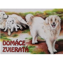 Domáce zvieratá