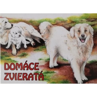 Domáce zvieratá