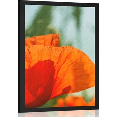 Plakát červený mák - 20x30 black