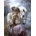 Norimpex - Puzzle Diamant painting: Girl with a horse 30x40cm - 1 - 39 piese