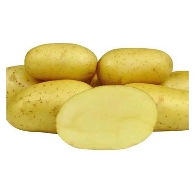 Sadba brambor COLETTE pytel 25 kg