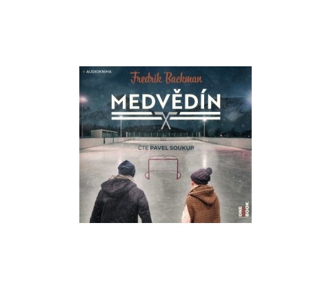 Medvědín