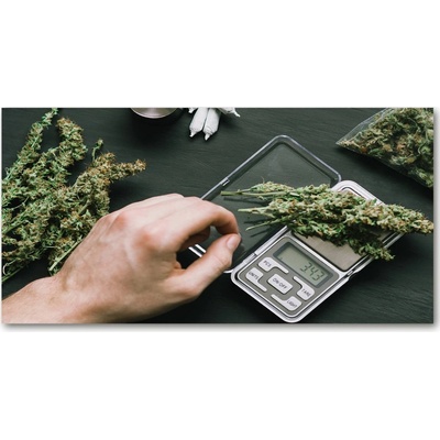 Foto obraz akrylový Marihuana 100x50 cm