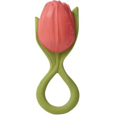 Oli & Carol Kousátko The tulip