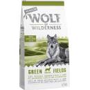 Wolf of Wilderness Senior Green Fields jahňacie 2 x 12 kg