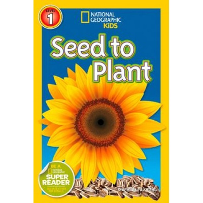 Seed to Plant | Kristin Baird Rattini