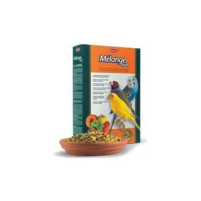 Padovan Melange fruit - хранителна добавка, обогатен с пчелен мед и плодове 300 гр