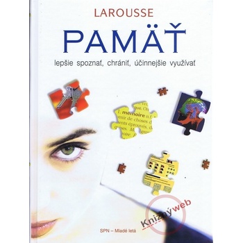 Pamäť