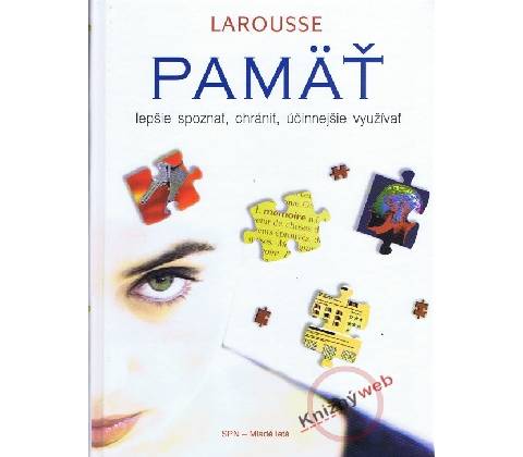 Pamäť