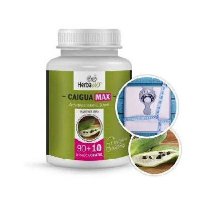 Herbavis CAIGUA MAX (AČOKČA), 100 kapslí (Redukce hmotnosti, cholesterol)