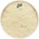 Evans EQ4Calftone 24”