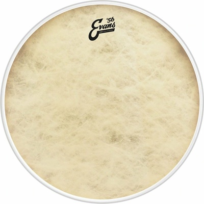 Evans EQ4Calftone 24”