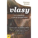 Vlasy