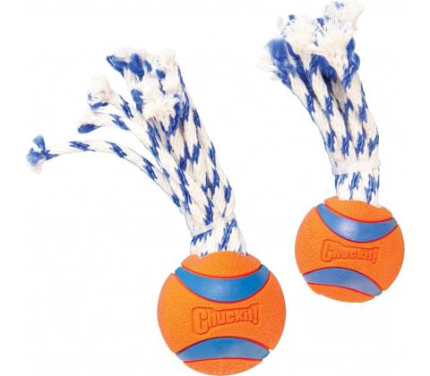 Chuckit! Ultra Toss Small