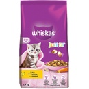 Whiskas Dry Junior s kuřecím 1,4 kg