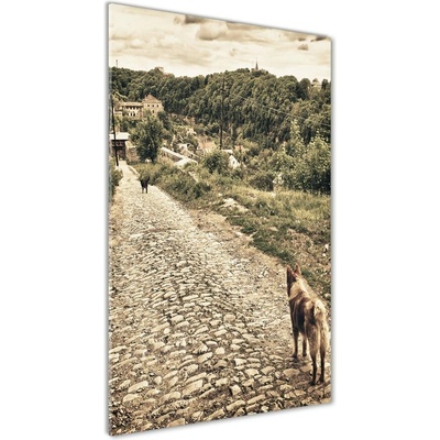 Vertikálny foto obraz fotografie na skle Dva psy 50x100 cm