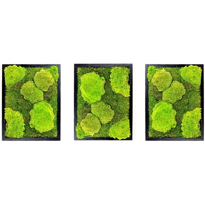 Gardners Set 3 mechových obrazů 30x40 kombinovaný mech kopečkový s plochým, černá