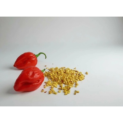 Habanero red semínka 10 ks