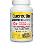 Natural Factors Quercetin LipoMicel Matrix 10 X Higher Absorption / Кверцетин, 250 mg, 30 софтгел капсули Natural Factors (1379 NF)